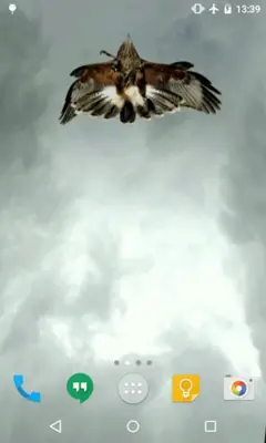 Eagle Live Wallpaper android App screenshot 0