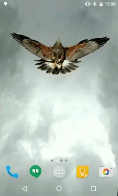 Eagle Live Wallpaper android App screenshot 1