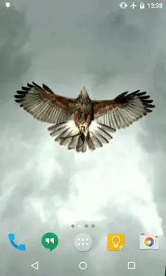 Eagle Live Wallpaper android App screenshot 2