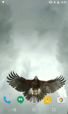 Eagle Live Wallpaper android App screenshot 3